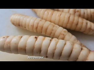 Arrowroot Recipe | Arrowroot fry