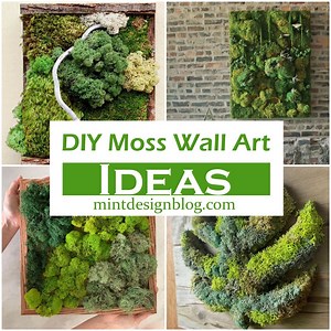 23 DIY Moss Wall Art - How To Make A Moss Wall
