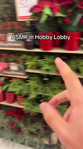 Guys there's a lot in here #lofiasmr #asmr #badquailtyasmr #hobbylobbyasmr #storeasmr