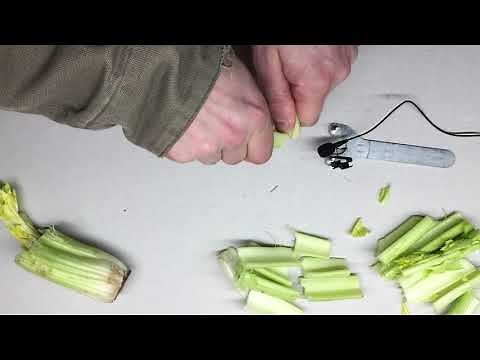 How to Make a Bone Breaking Crushing Sound Effect!