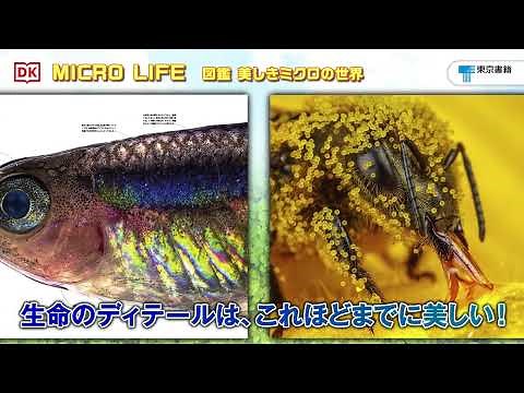 拡大すれば生命の神秘が見えてくる！『MICRO LIFE（マイクロライフ）　図鑑 美しきミクロの世界』紹介動画