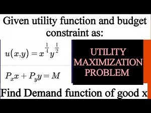demand function from Cobb Douglas utility function. utility maximization problem. optimization