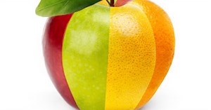 How to Design an Interdisciplinary Project