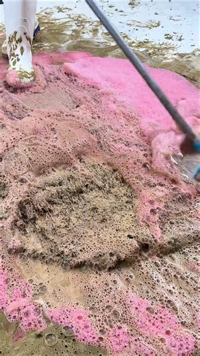 Deep Clean Satisfying Carpet 🧼 #satisfying #deepcleaning #carpetcleaning