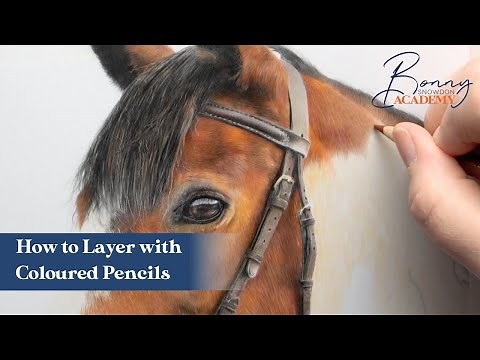 How to Layer with Coloured Pencils | Coloured Pencil Techniques