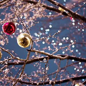 Merry and bright ✨ Enhance your photos in one click with improved auto-correction in Photo Studio 12.2 | inPixio