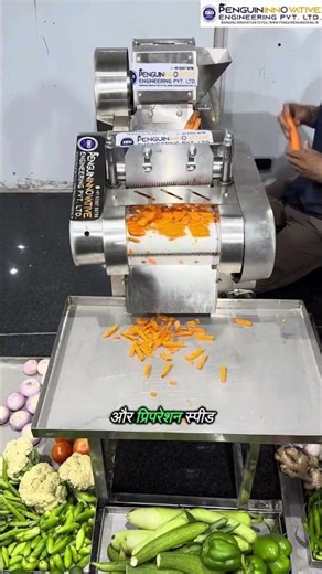 Vegetable cutting machine “Now vegetables will be cut quickly and evenly – saving time, increasin...