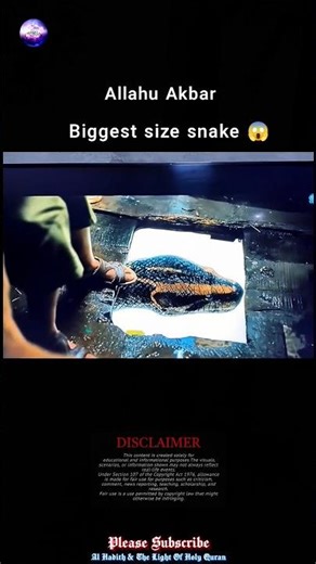 😭😭😭 Allah forgive us 🤲 #sadstatus #youtubeshorts #viralvideo #islam #trending #powerful #dua #shorts