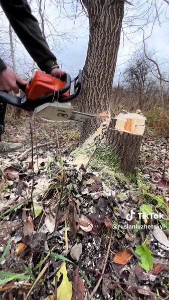STIHL MS 180 Chainsaw Starting Guide