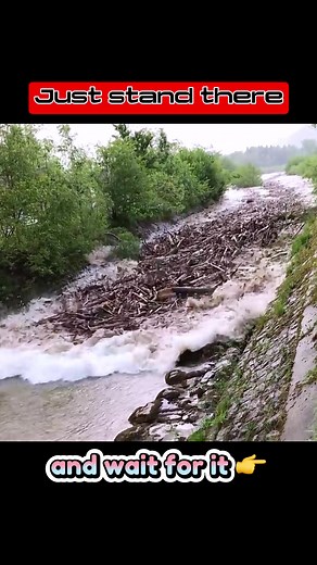 Flash flood #disaster #viral #fyp #foryou #flash #flood #waitforit #furyofnature @DISASTER 🌔 @UNDERWORLD 🌘 @DISASTER 🌊