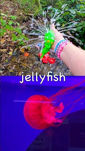 Kids Learn | Sea Animals Names: Hammerhead Shark Jellyfish Stingray Pufferfish #HolidaysWithYouTube