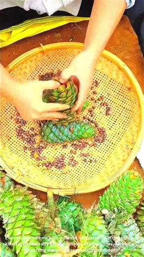 Extracting Pine Nuts Like a Pro – The Most Satisfying Process!