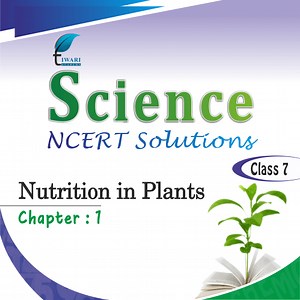 NCERT Solutions for Class 7 Science Chapter 1 Nutrition in Plants