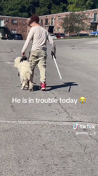 Understanding Dog Behavior: When Pets Misbehave