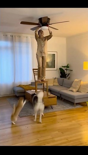 I'm learning how to repair a ceiling fan