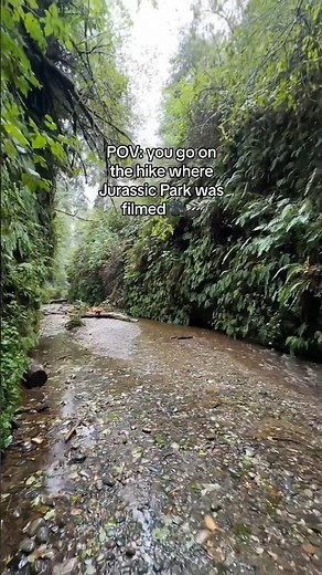 Jurassic Park Was Filmed at this Fern-Lined Canyon in California! #shorts