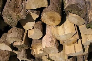 Top 20 Wood Carving Ideas for Beginners and Experts