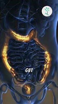 Glutamine Benefits You NEED to Know!