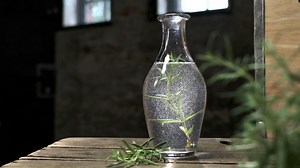 Rosemary | Health Benefits, Superstitions, & Culinary Uses | Britannica