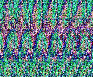 Magic Eye ~ Everything You Need to Know with Photos | Videos