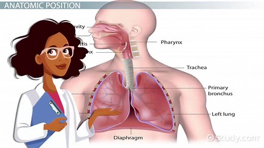 You must c C reate an account to continue watching