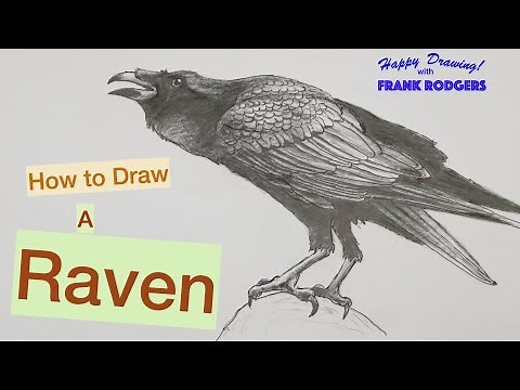 How to Draw a RAVEN. Sketching Birds No 7. Happy Drawing! with Frank Rodgers