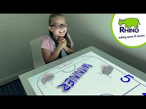 Omi Budii: Interactive Projector