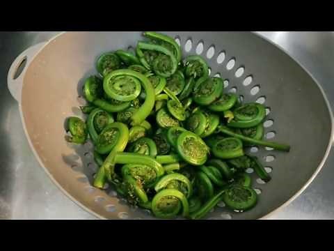 How to Cook Fiddleheads | Simone, the Curvy Cook
