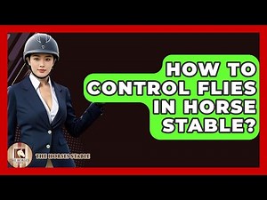 How To Control Flies In Horse Stable? - The Horses Stable