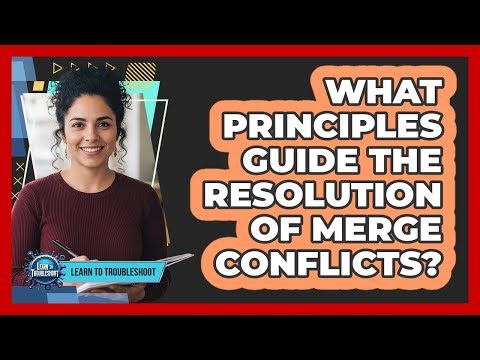 What Principles Guide the Resolution of Merge Conflicts?