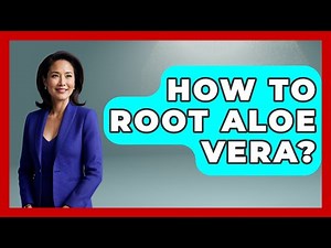 How To Root Aloe Vera? - The Plant Enthusiast