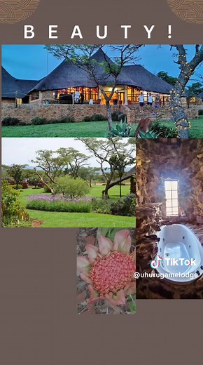 uhurugamelodge on TikTok