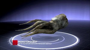 801K views · 5K reactions | You might've heard of a giant squid, but what about a 100ft giant octopus? Could this be the legendary Kraken? #MonsterQuest | HISTORY | Facebook