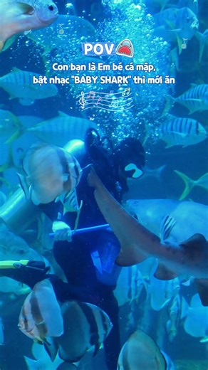 Cách chúng tôi “vỗ béo” 3 bạn “cá béo hổ cát” tại thủy cung? 3 thành viên mới này của thủy cung, với phong cách tổng tài lãnh hàn băng giá đã không ít lần khiến các khách tham quan phải giật mình. Hãy cùng chúng mình khám phá xem các bạn ấy đã được cho ăn như thế nào để có thể giữ gìn phong độ “dọa khách” bền vững như vậy nhé Nhìn chung là cũng cùng bố mẹ trên toàn thế giới đóng góp 1 view cho MV Baby Shark tỷ view thoai các cô, dì, chú bác ạ | Lotte World Aquarium Hà Nội
