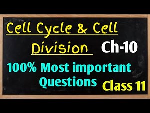 Cell cycle & cell division Biology Class 11Chapter 10! Most important Questions! CBSE NCERT ICSE KVS