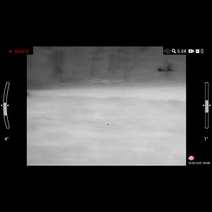 A bit of Hog action with the new ThOR LTV thermal scope. Now with video recording and multiple color pallets! A lightweight and easy-to-use optic with the bare minimum of features but still packs a punch! Available in 160, 320, and 640 core thermal sensors! #ATNCorp #thermalimaging #thermalvision #hoghunting #nighthunting #thor #thorltv #huntinggear | ATN