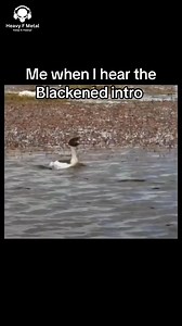 23K views · 834 reactions | Metallica #heavyfmetal #keepitheavy #memes #funnyvideos #metalhumor #metal #Music #metalmusic #blackened | Heavy F Metal | Facebook