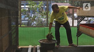 3 Cara Membuat Kompos dari Daun Kering yang Mudah Dilakukan