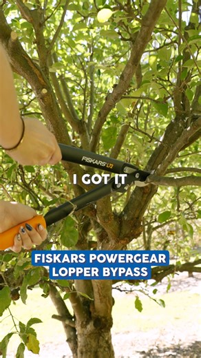 2.1K views · 16 reactions | Get your garden ready with Fiskars essentials!  From shears to pruners, Fiskars tools make gardening easy and efficient. Upgrade your toolkit today and get your garden thriving! https://www.mitre10.com.au/brand/fiskars | Mitre 10 | Facebook