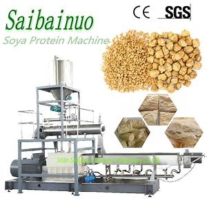 [Hot Item] Textured Soy Protein Vegetarian Soy Products Soy Protein Plant Protein