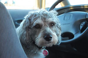 RV Driving For Beginners: All The Best Tips You Need To Drive An RV For The First Time