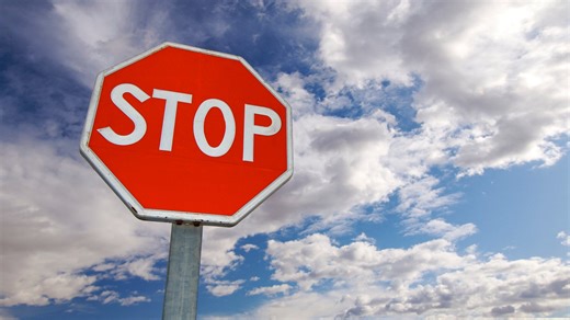 Ask the Expert: How to help a turtle in Florida avoid becoming roadkill