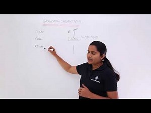 Introduction To Branching Instructions
