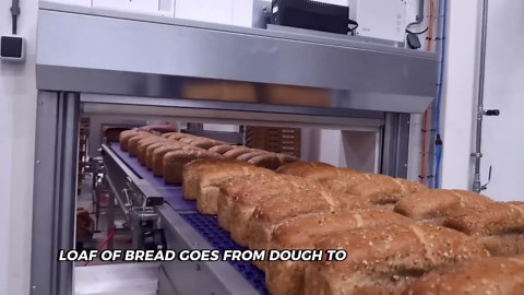 How Bread Is Made in a Factory: From Mixing Dough to Perfect Loafs at High-Speed
