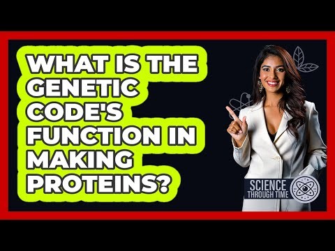 What Is the Genetic Code's Function in Making Proteins?