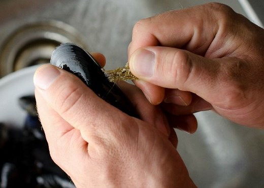How To Clean Mussels
