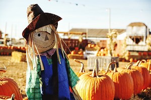 These DIY Scarecrow Ideas Make the Most Versatile Fall Decor