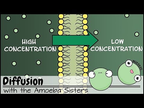 Diffusion