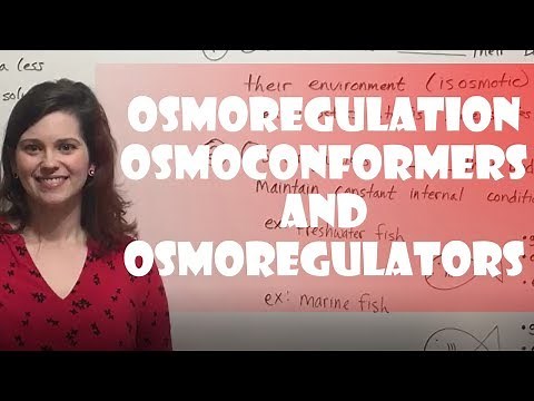 Osmoregulation: Osmoconformers & Osmoregulators