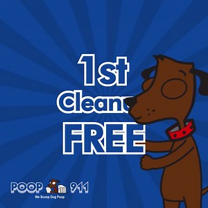 103 reactions · 16 shares | Enjoy your yard without the dog poop! | POOP 911 | Facebook